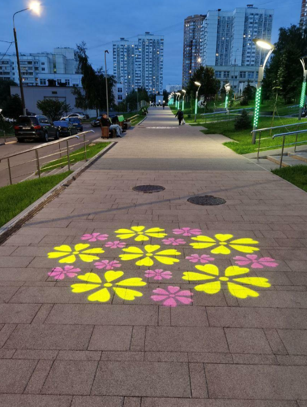 Projection yellow and pink petals flowers blossom colorful on the park floor