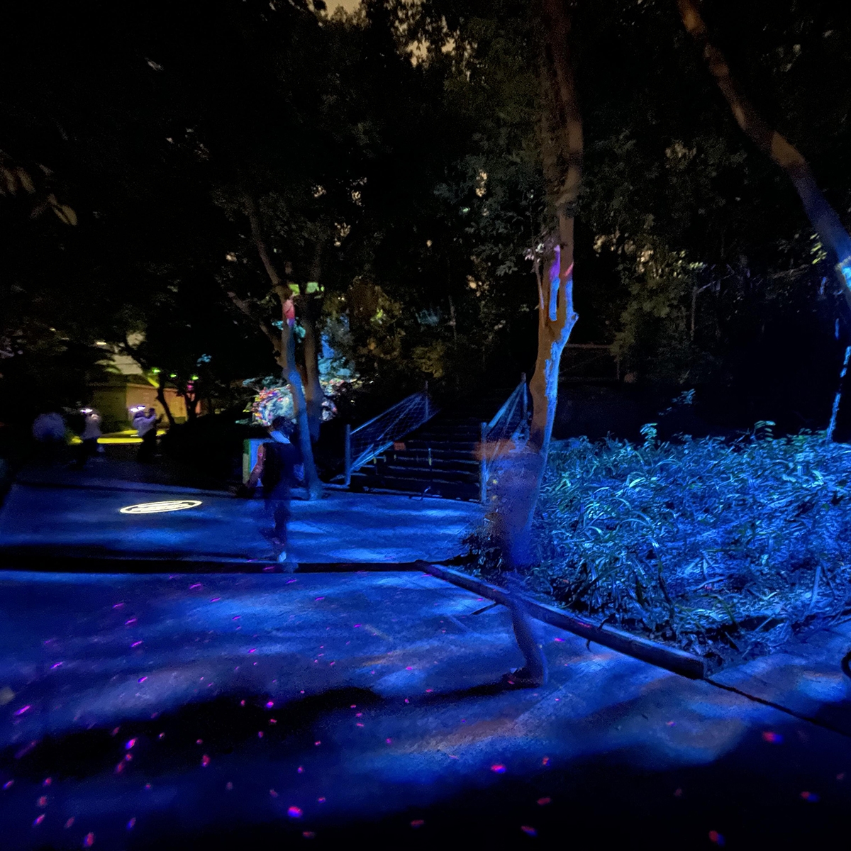 A scenic spot illuminated with a water wave projector