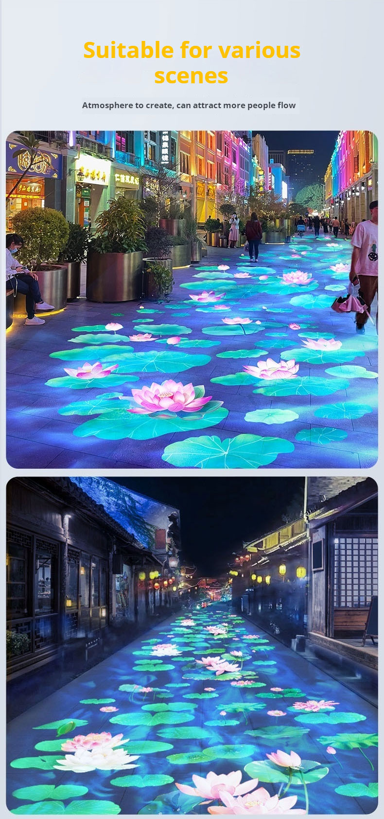 水纹荷花_04