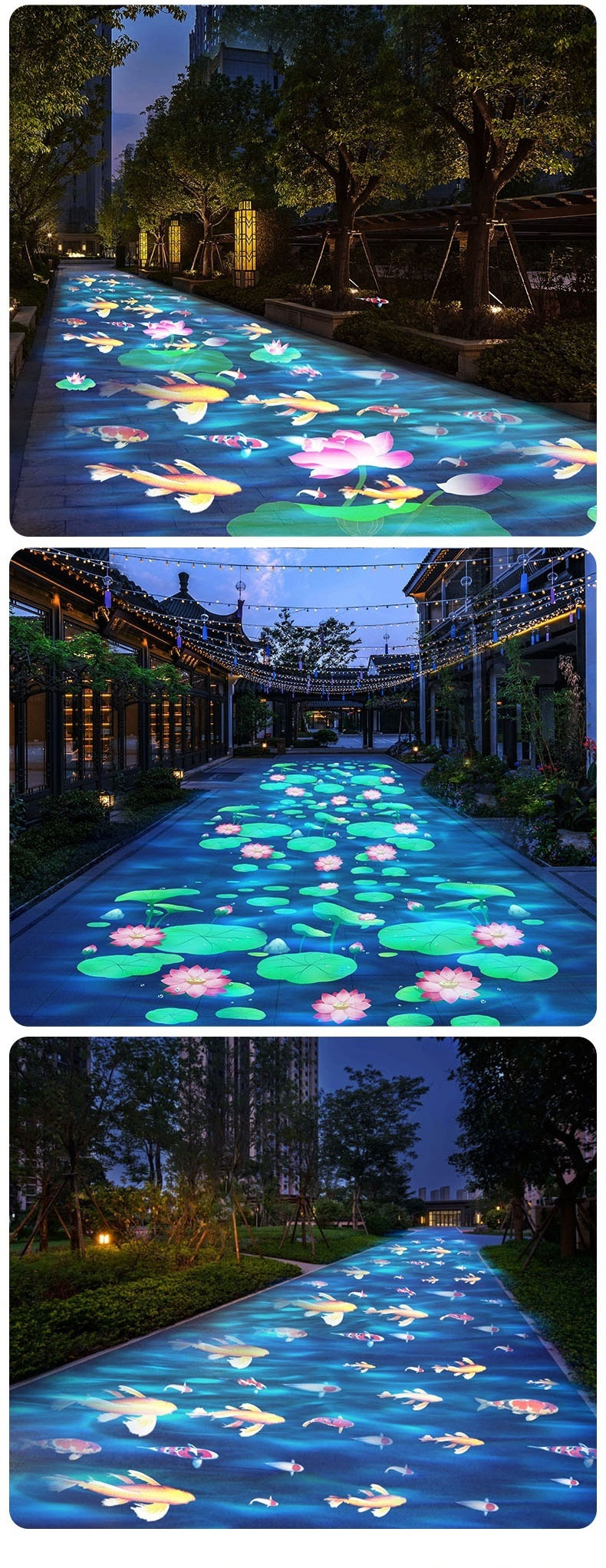 水纹荷花_06