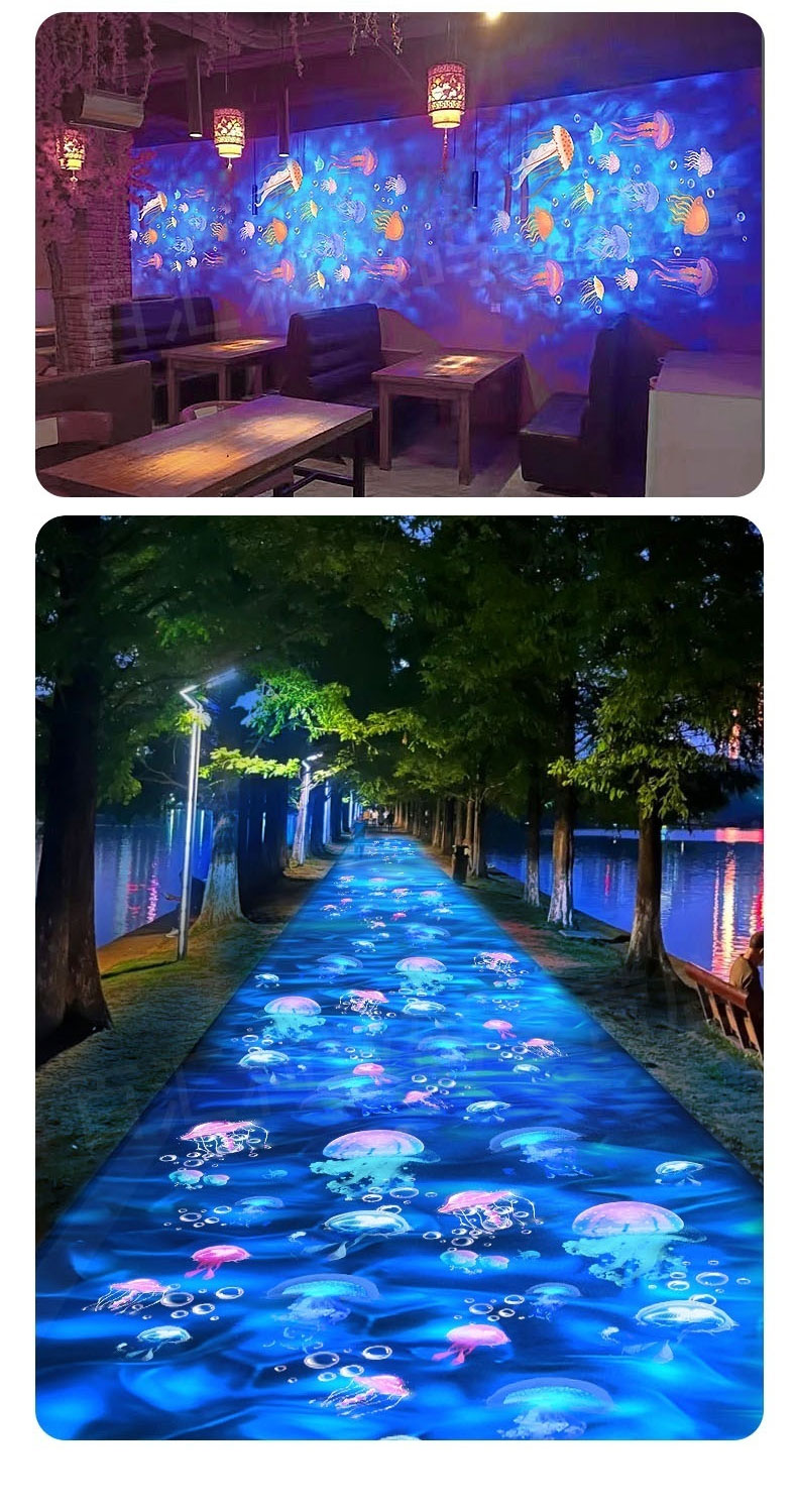 水母_11